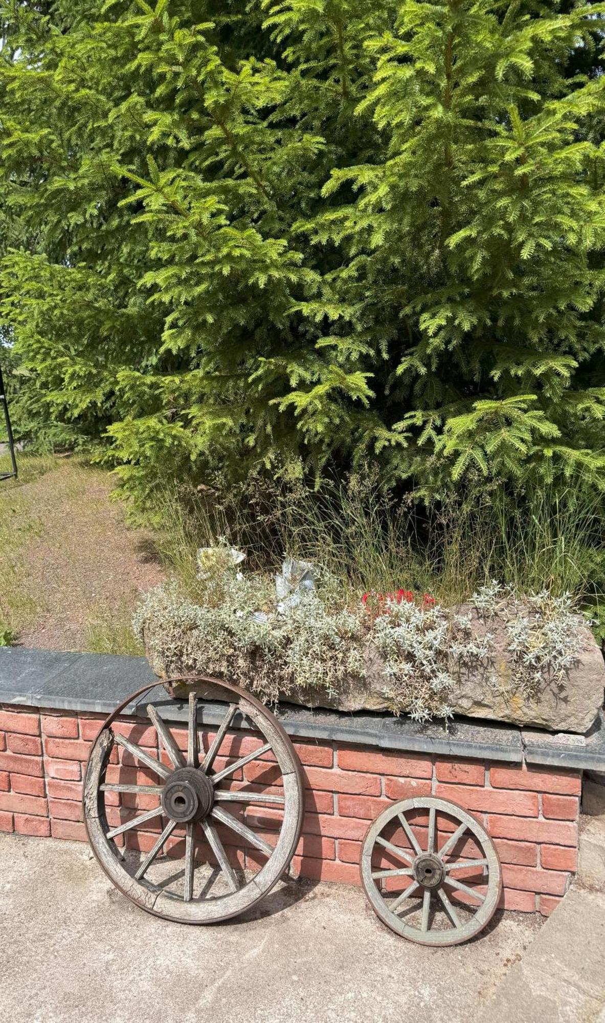 Marchewkowe Pole Villa Sosnina Buitenkant foto