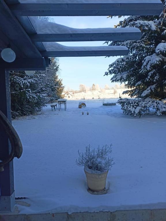 Marchewkowe Pole Villa Sosnina Buitenkant foto
